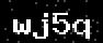verify code