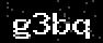 verify code