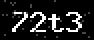 verify code