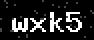 verify code