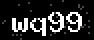 verify code